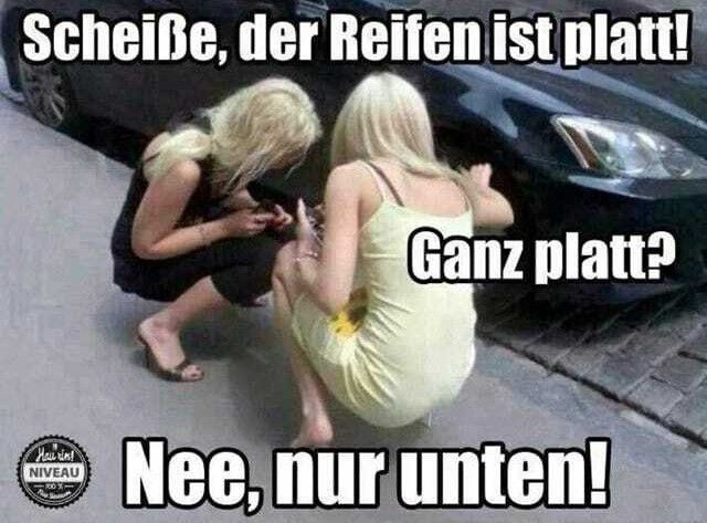 Scheiße, der Reifen ist platt!
Hau rin!
NIVEAU
Ganz platt?
Nee, nur unten!