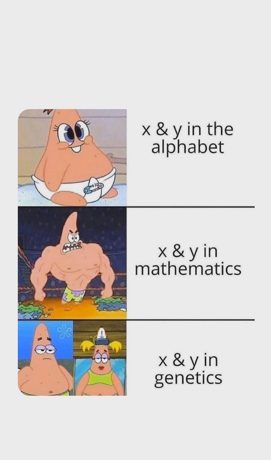 *
x & y in the
alphabet
x & y in
mathematics
x & y in
genetics