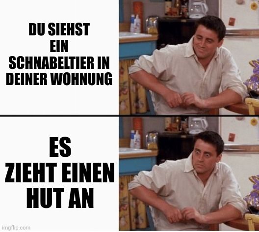 DU SIEHST
EIN
SCHNABELTIER IN
DEINER WOHNUNG
ES
ZIEHT EINEN
HUT AN
