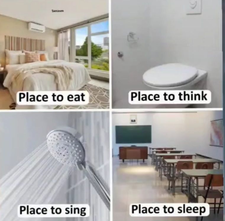 Sarcasm
Place to eat
Place to sing
Place to think
Place to sleep