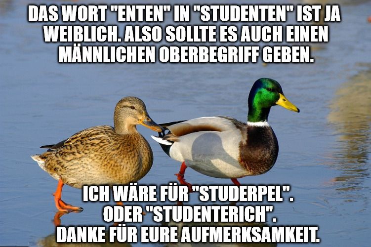 DAS WORT "ENTEN" IN "STUDENTEN" IST JA
WEIBLICH. ALSO SOLLTE ES AUCH EINEN
MÄNNLICHEN OBERBEGRIFF GEBEN.
P
ICH WÄRE FÜR "STUDERPEL".
ODER "STUDENTERICH".
DANKE FÜR EURE AUFMERKSAMKEIT.