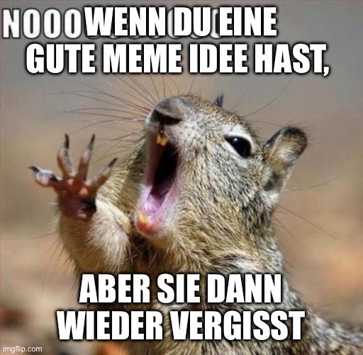 NOOOWENN DU EINE
GUTE MEME IDEE HAST,

ABER SIE DANN
WIEDER VERGISST