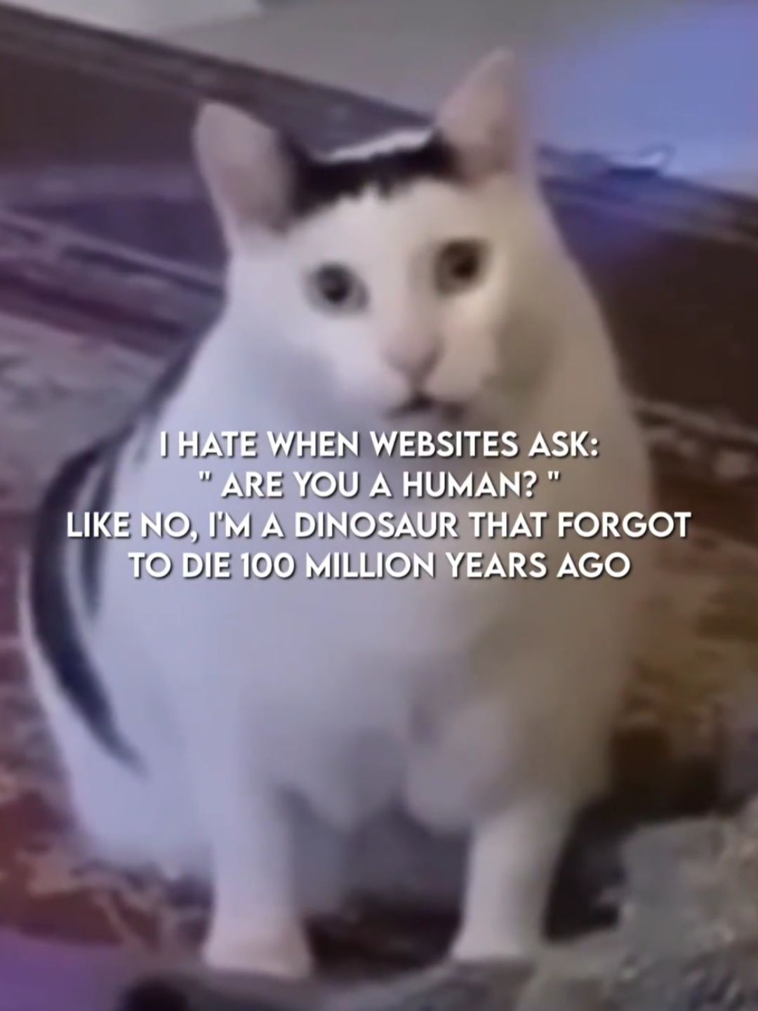 I HATE WHEN WEBSITES ASK:
"ARE YOU A HUMAN? "
LIKE NO, I'M A DINOSAUR THAT FORGOT
TO DIE 100 MILLION YEARS AGO