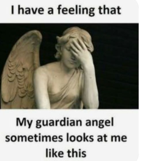 I have a feeling that
My guardian angel
sometimes looks at me
like this