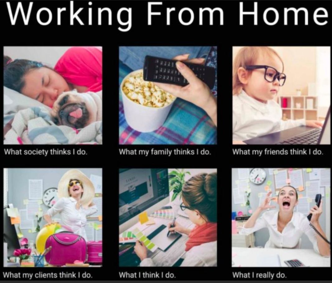 Working From Home
What society thinks I do.
What my clients think I do.
What my family thinks I do.
15
What I think I do.
What my friends think I do.
What I really do.