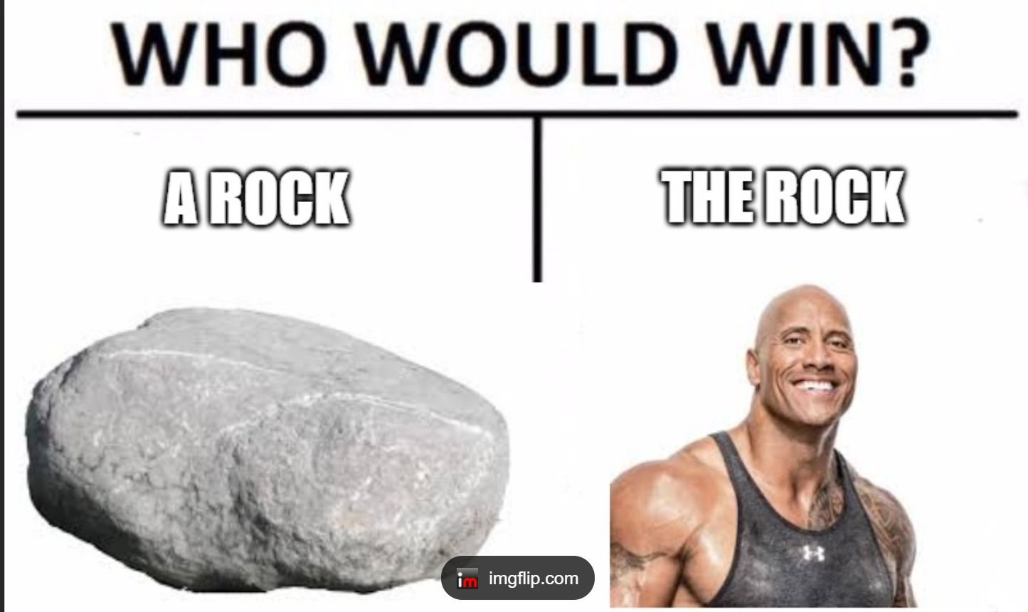 WHO WOULD WIN?
A ROCK
THE ROCK
im 