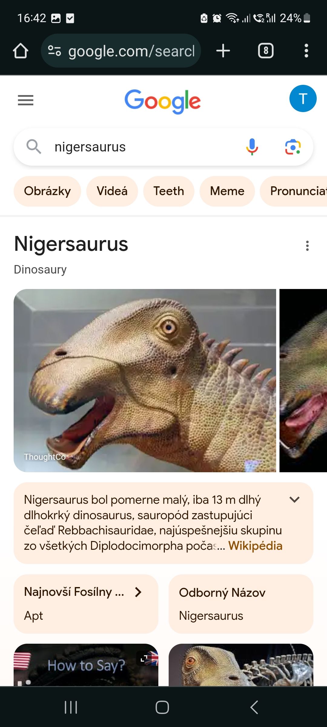 16:42
google.com/searcl +
Qnigersaurus
Google
Obrázky Videá Teeth Meme
Dinosaury
Nigersaurus
ThoughtCo
Najnovší Fosílny ... >
Apt
How to Say?
lll 24%!
Nigersaurus bol pomerne malý, iba 13 m dlhý
dlhokrký dinosaurus, sauropód zastupujúci
l'ad' Rebbachisauridae, najúspešnejšiu skupinu
zo všetkých Diplodocimorpha počas... Wikipédia
O
(8
Odborný Názov
Nigersaurus
<
T
Pronunciat
: