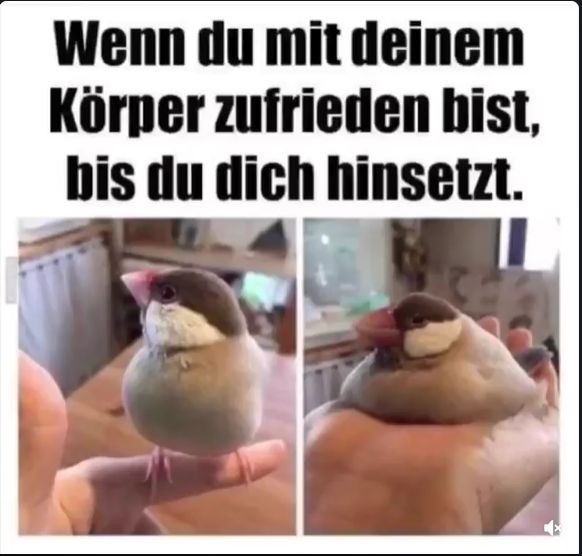 Wenn du mit deinem
Körper zufrieden bist,
bis du dich hinsetzt.