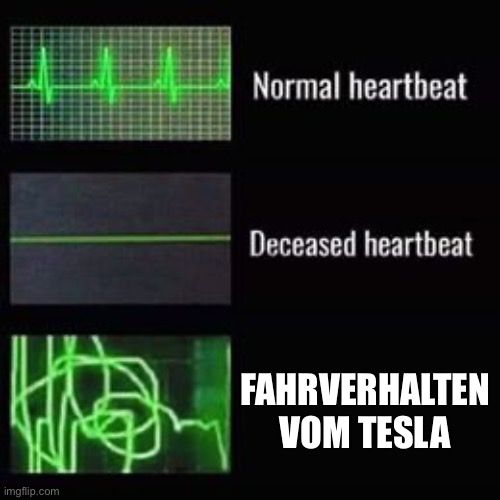 H

Normal heartbeat
Deceased heartbeat
FAHRVERHALTEN
VOM TESLA