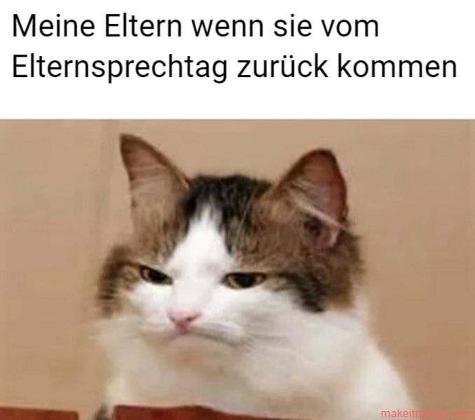 Meine Eltern wenn sie vom
Elternsprechtag zurück kommen
makeit