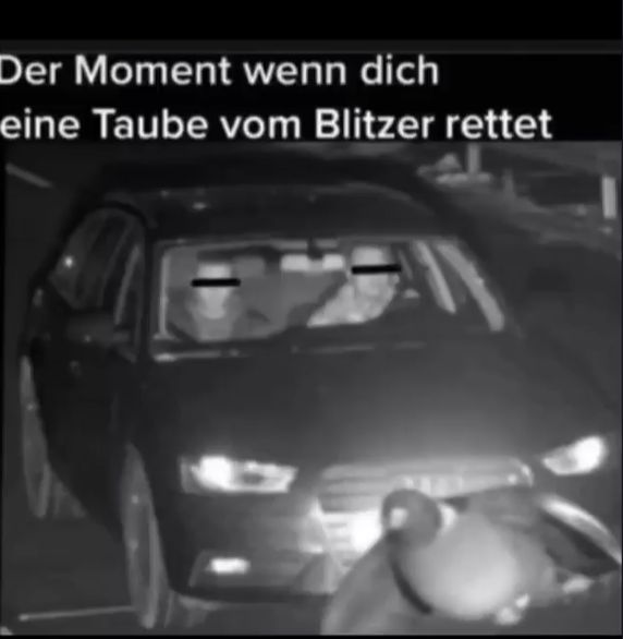 Der Moment wenn dich
eine Taube vom Blitzer rettet