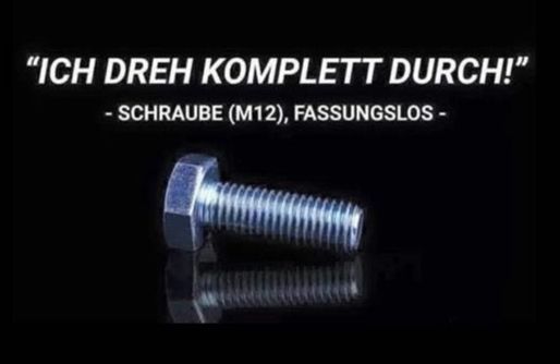 "ICH DREH KOMPLETT DURCH!"
-SCHRAUBE (M12), FASSUNGSLOS -