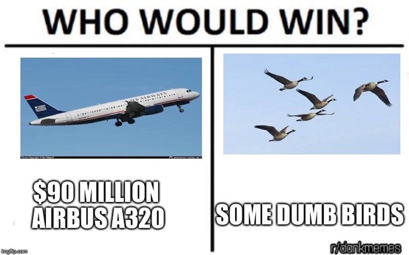 imgillp.com
WHO WOULD WIN?
AD AIRWAY
$90 MILLION
AIRBUS A320
SOME DUMB BIRDS
r/dankmemes