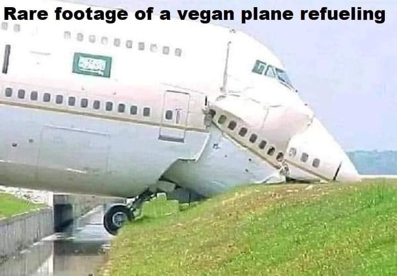 Rare footage of a vegan plane refueling