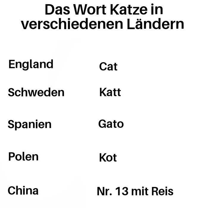 Das Wort Katze in
verschiedenen Ländern
England
Schweden
Spanien
Polen
China
Cat
Katt
Gato
Kot
Nr. 13 mit Reis