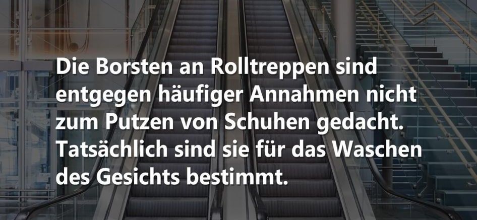 Die Borsten an Rolltreppen sind
entgegen häufiger Annahmen nicht
zum Putzen von Schuhen gedacht.
Tatsächlich sind sie für das Waschen
des Gesichts bestimmt.