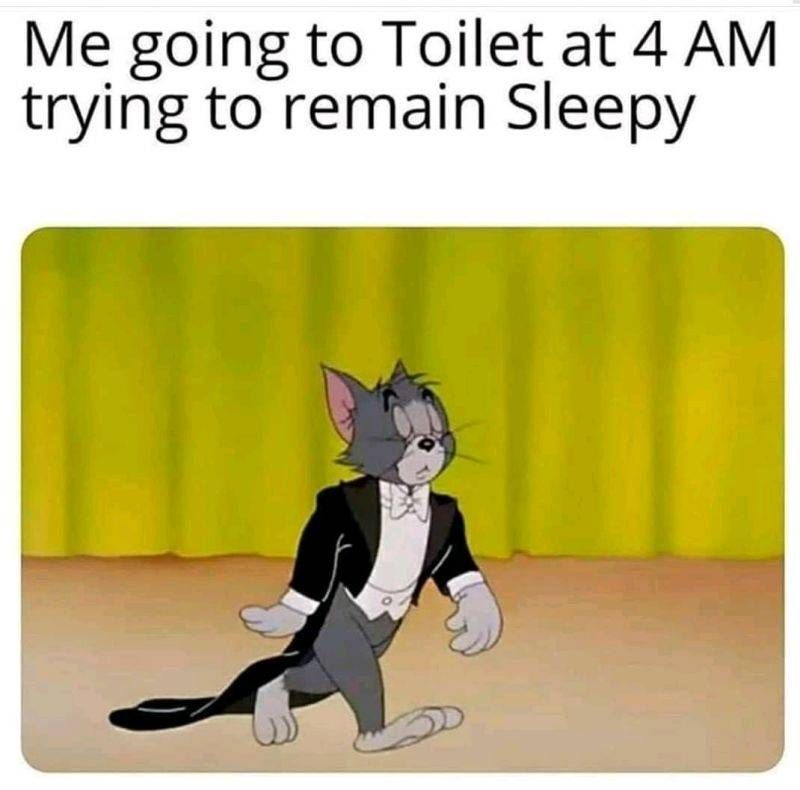 Me going to Toilet at 4 AM
trying to remain Sleepy