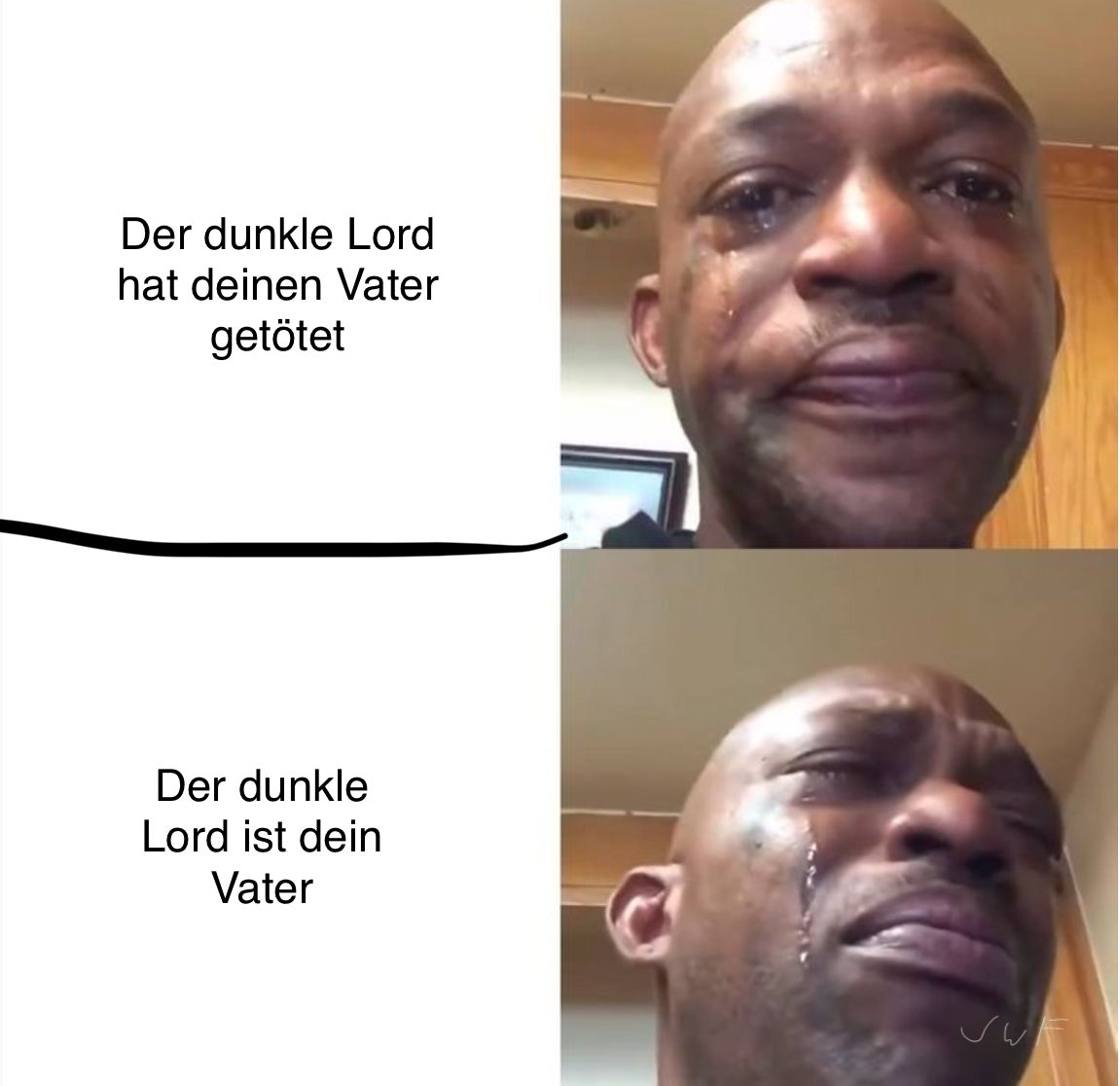 Der dunkle Lord
hat deinen Vater
getötet
Der dunkle
Lord ist dein
Vater
C
ارهای