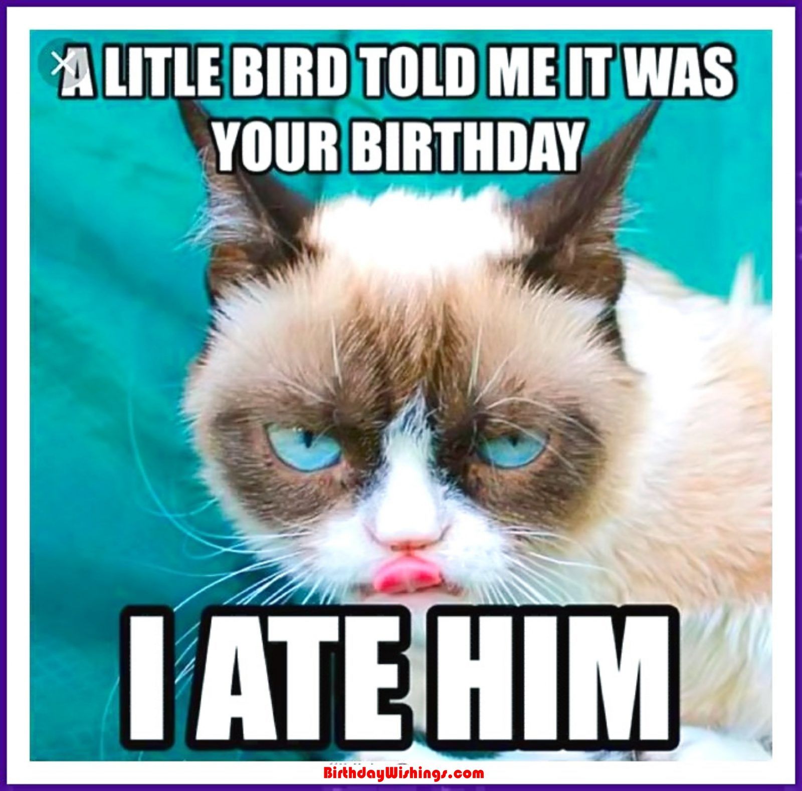 A LITLE BIRD TOLD ME IT WAS
YOUR BIRTHDAY
I ATE HIM
Birthday Wishings.com