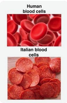 Human
blood cells
Italian blood
cells