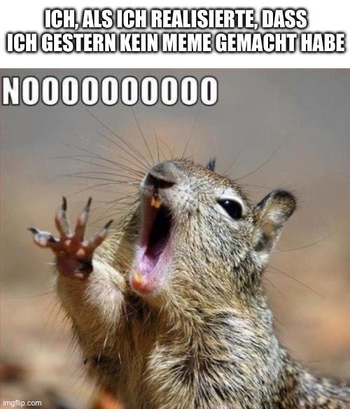 ICH, ALS ICH REALISIERTE, DASS
ICH GESTERN KEIN MEME GEMACHT HABE
20000000000
