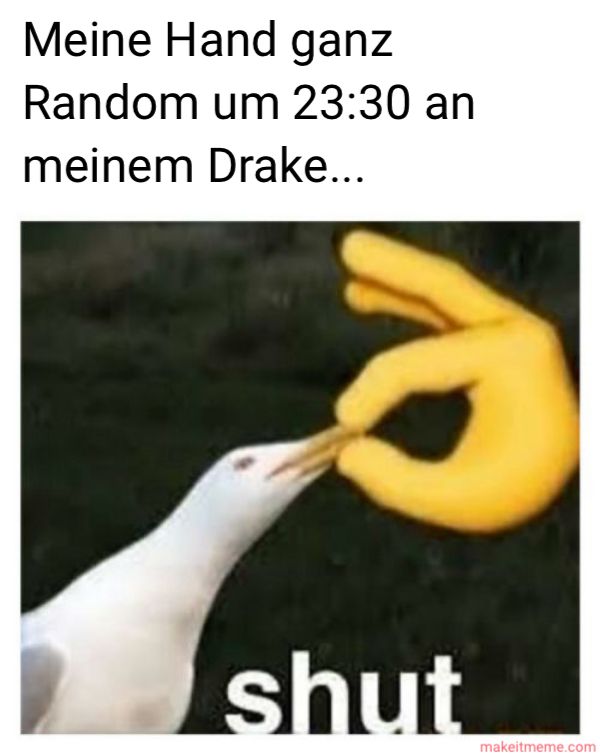 Meine Hand ganz
Random um 23:30 an
meinem Drake...
shut
makeitmeme.com