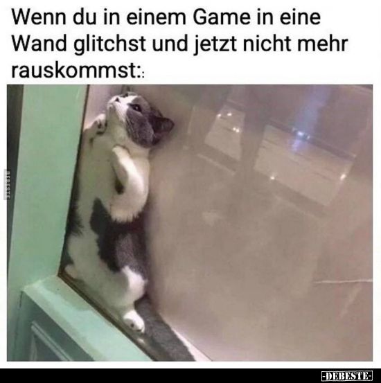 Wenn du in einem Game in eine
Wand glitchst und jetzt nicht mehr
rauskommst::
-DEBESTE-