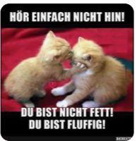 HÖR EINFACH NICHT HIN!
DU BIST NICHT FETT!
DU BIST FLUFFIG!
HROP