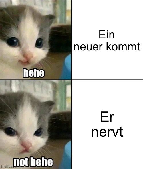 hehe
Ein
neuer kommt
Er
nervt
nothehe
