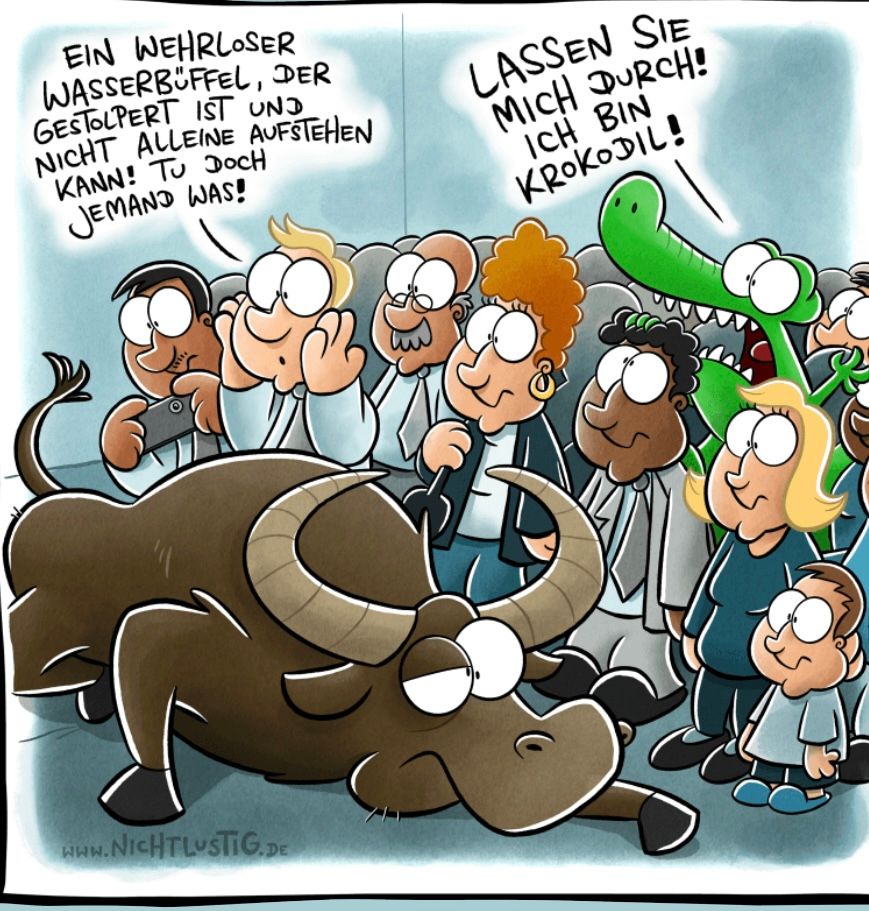 EIN WEHRLOSER
WASSERBÜFFEL, DER
GESTOLPERT IST UND
NICHT ALLEINE AUFSTEHEN
KANN! TU DOCH
JEMAND WAS!
LASSEN SIE
MICH DURCH!
ICH BIN
KROKODIL!
www.NICHTLUSTIG. DE