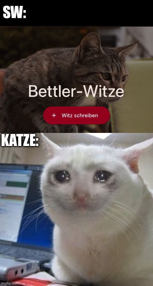 SW:
Bettler-Witze
KATZE:

+ Witz schreiben