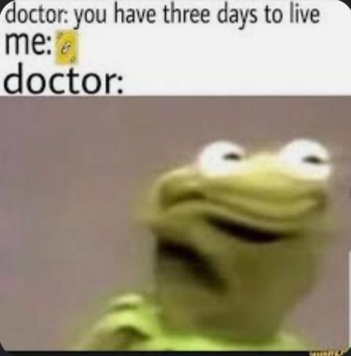 doctor: you have three days to live
me:
doctor: