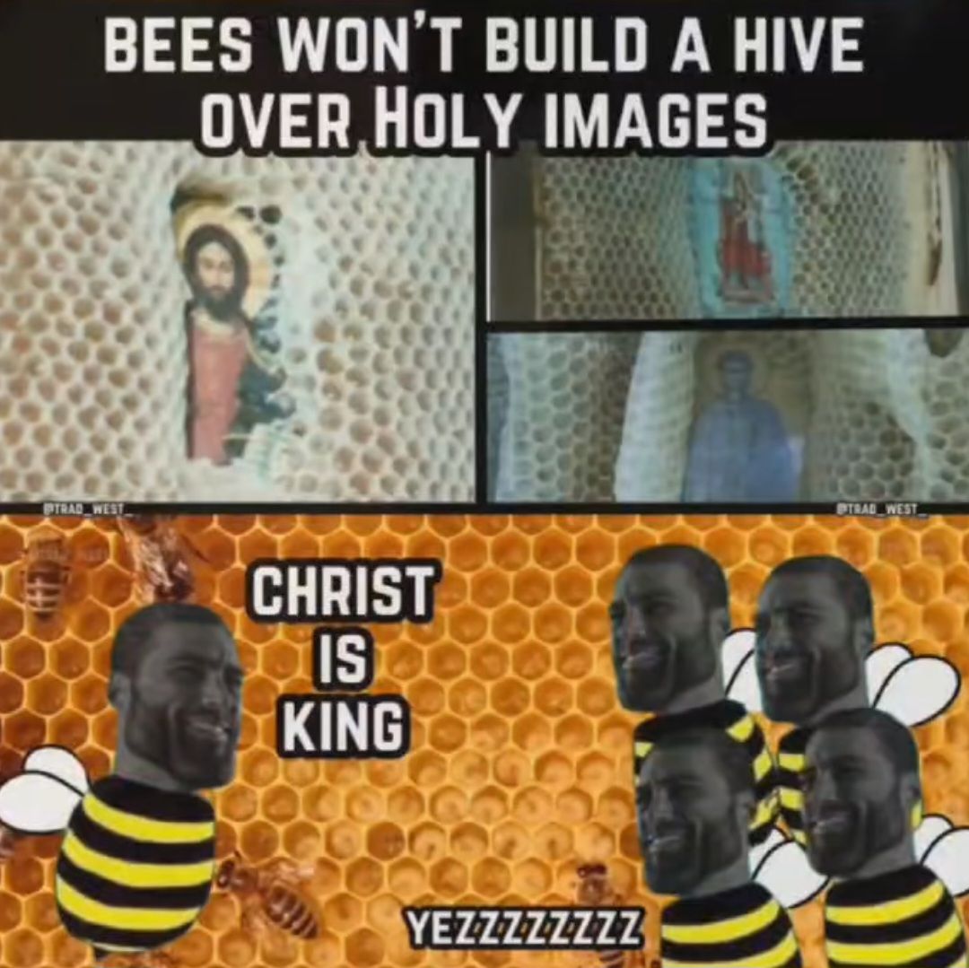 STRAD WEST
BEES WON'T BUILD A HIVE
OVER HOLY IMAGES
CHRIST
IS
KING
YEZZZZZZZZ
STRAD WEST