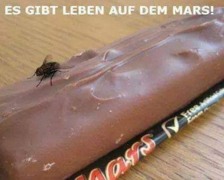 ES GIBT LEBEN AUF DEM MARS!
Les V