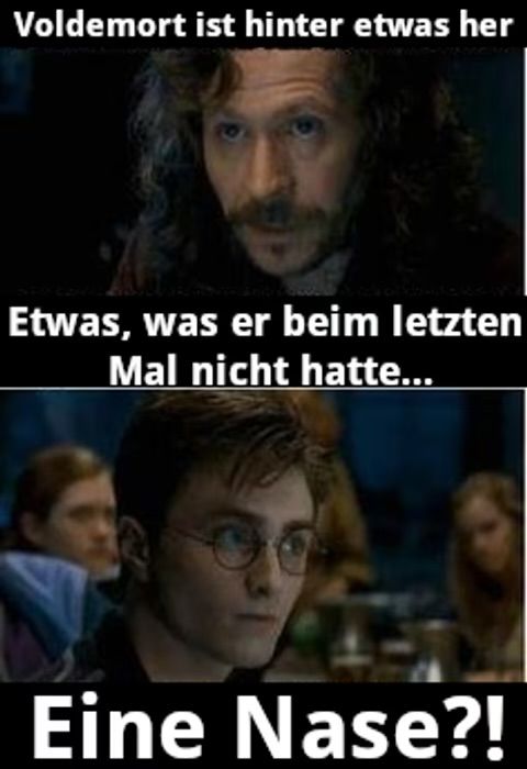 Voldemort ist hinter etwas her
Etwas, was er beim letzten
Mal nicht hatte...
Eine Nase?!