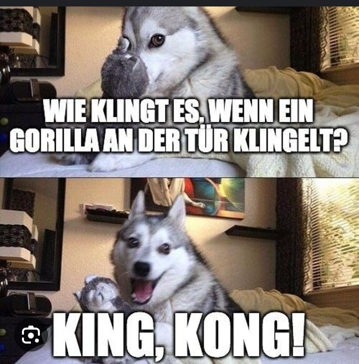 WIE KLINGT ES, WENN EIN
GORILLA AN DER TÜR KLINGELT?
KING, KONG!