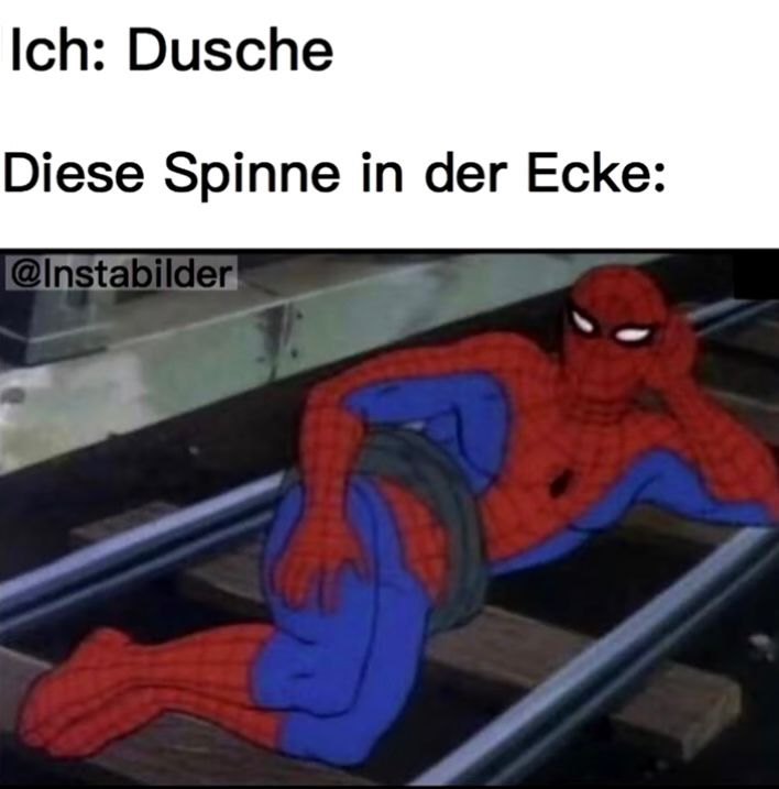 Ich: Dusche
Diese Spinne in der Ecke:
@Instabilder