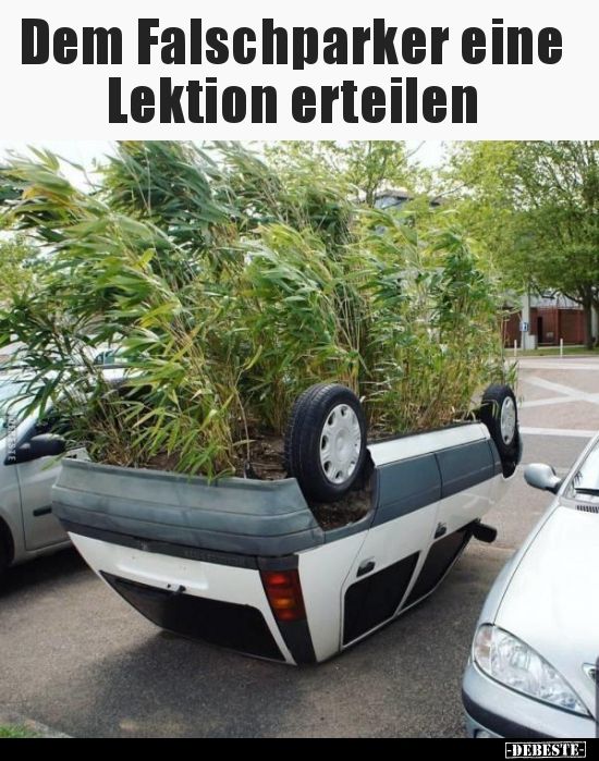 Dem Falschparker eine
Lektion erteilen
-DEBESTE-