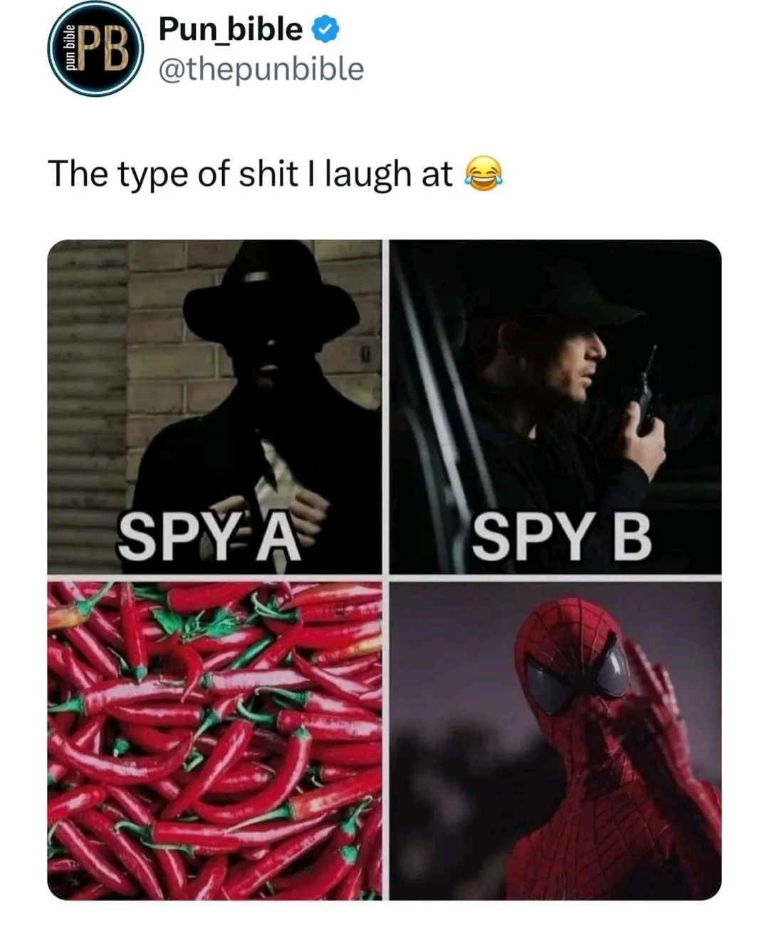 PB Pun bible
@thepunbible
The type of shit I laugh at
SPY A
SPY B