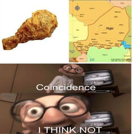 Coincidence
I THINK NOT
Niger