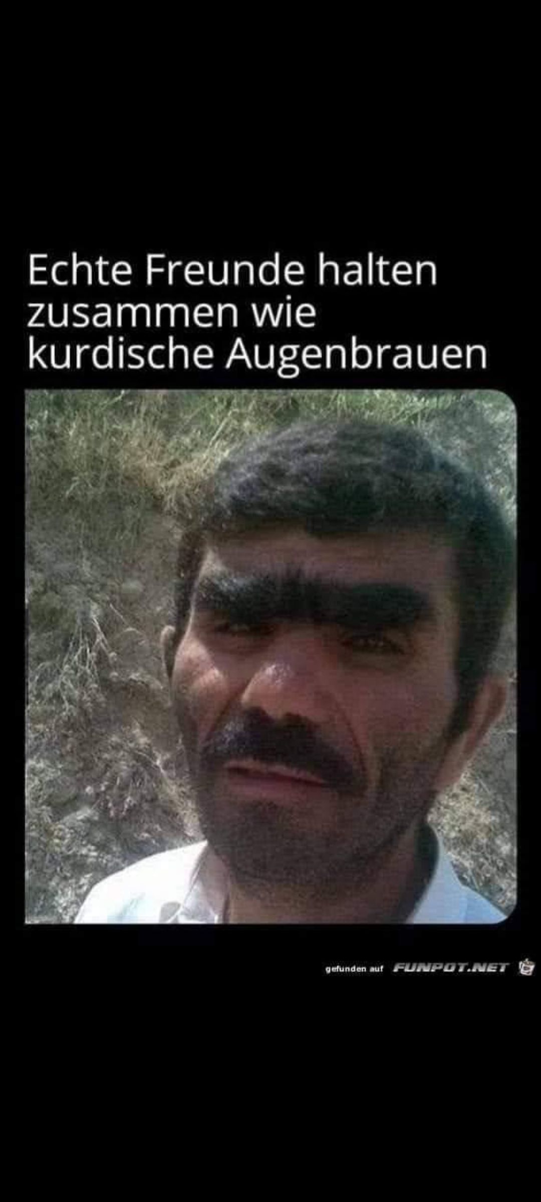 Echte Freunde halten
zusammen wie
kurdische Augenbrauen
gefunden auf
FUNPOT.NET