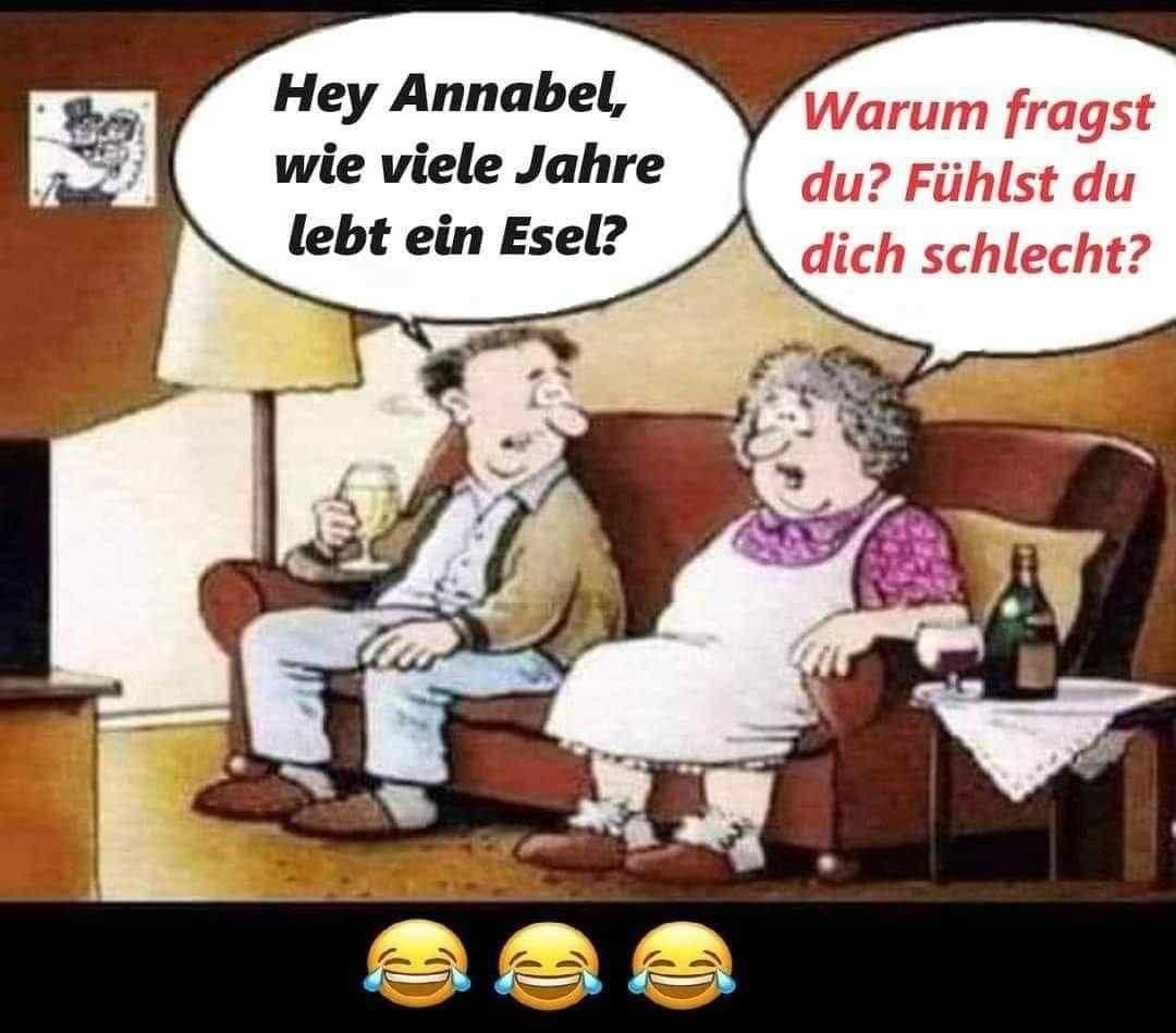 C
Hey Annabel,
wie viele Jahre
lebt ein Esel?
Warum fragst
du? Fühlst du
dich schlecht?