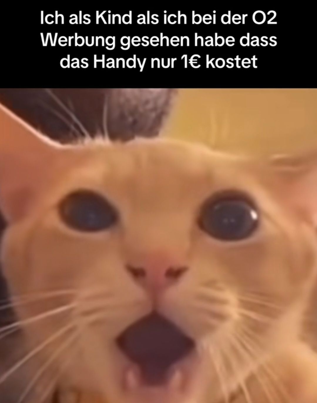 Ich als Kind als ich bei der O2
Werbung gesehen habe dass
das Handy nur 1€ kostet