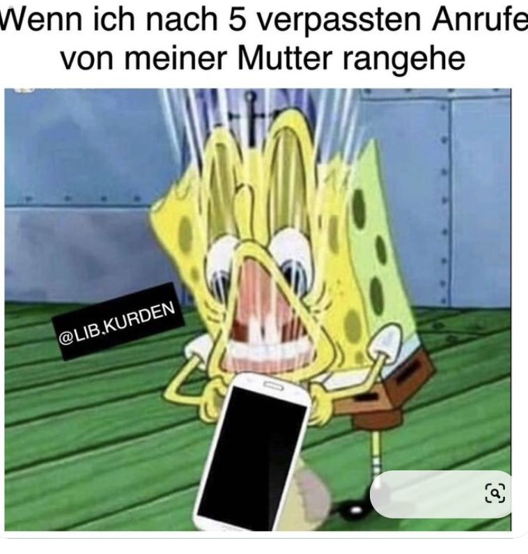 Wenn ich nach 5 verpassten Anrufe
von meiner Mutter rangehe
@LIB.KURDEN
$