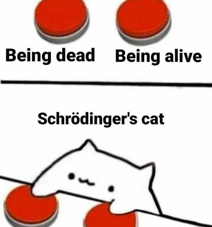 Being dead Being alive
Schrödinger's cat