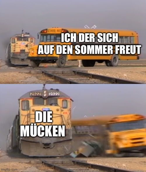 
SCHOOL RUS
MARICH DER SICH
AUF DEN SOMMER FREUT
123221 2022
DIE
MÜCKEN