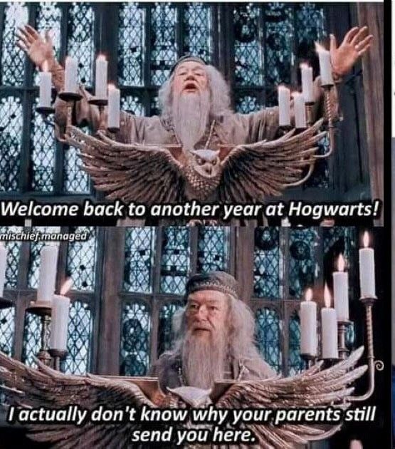 Welcome back to another year at Hogwarts!
mischief.managed
I actually don't know why your parents still
send you here.