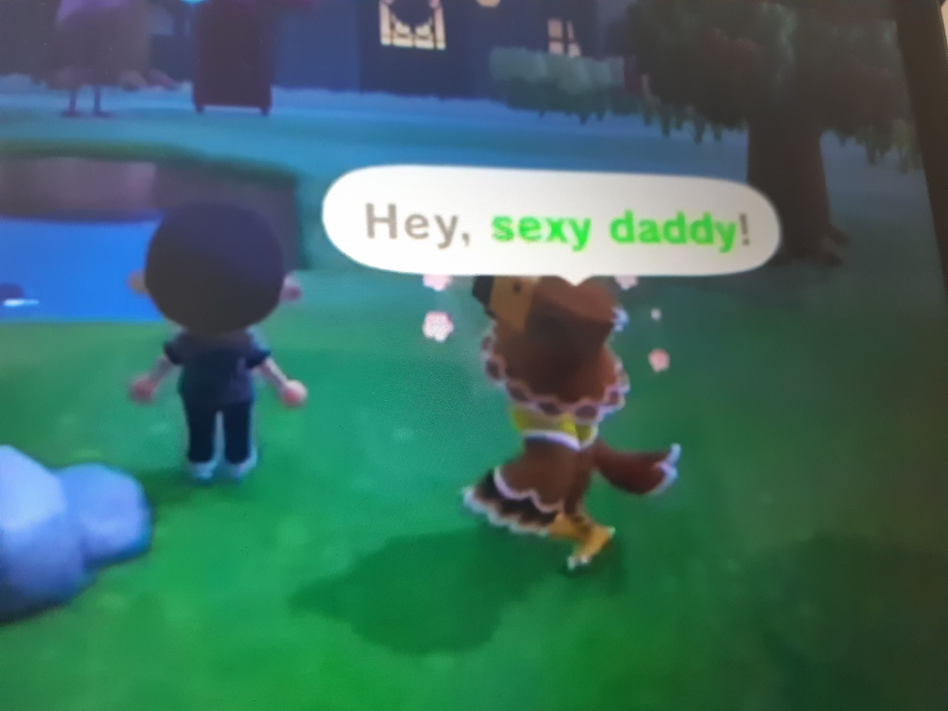 Hey, sexy daddy!