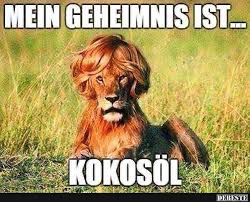 MEIN GEHEIMNIS IST...
KOKOSÖL
DEBESTE