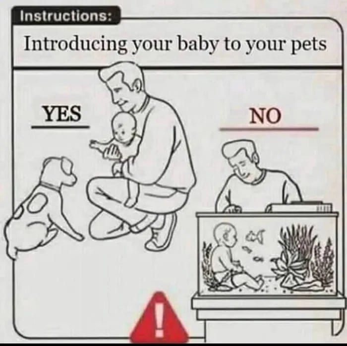 Instructions:
Introducing your baby to your pets
YES
NO